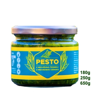 Medvědí česnek - pesto
